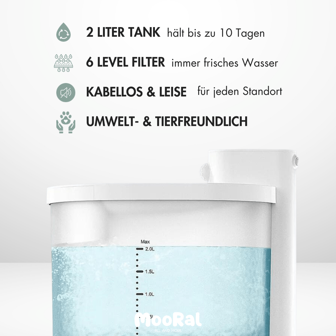 Kabelloser Katzenbrunnen, MOORAL