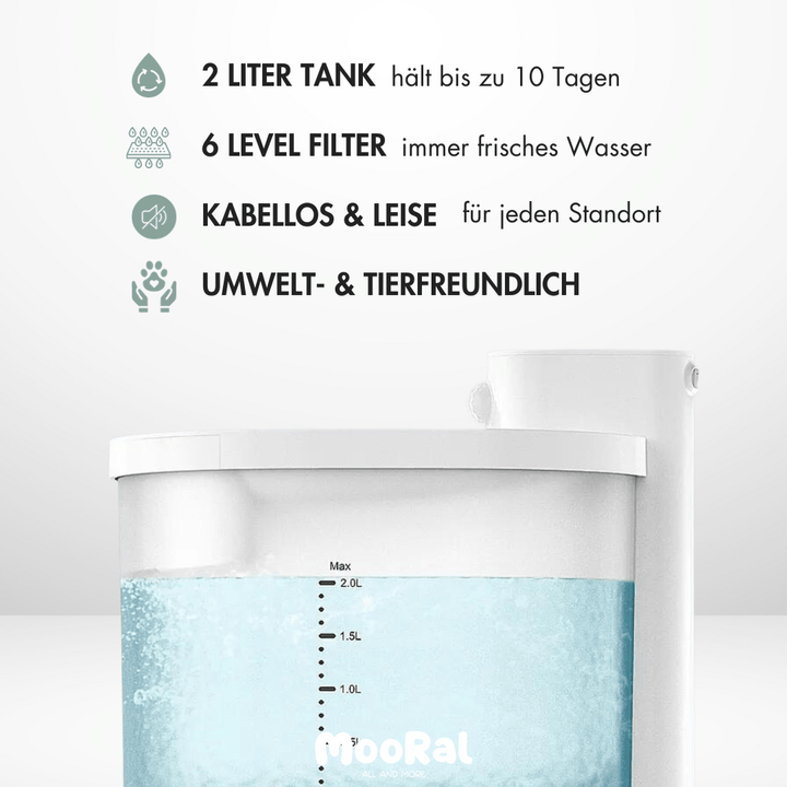 Kabelloser Katzenbrunnen, MOORAL