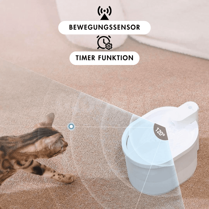 Kabelloser Katzenbrunnen, MOORAL