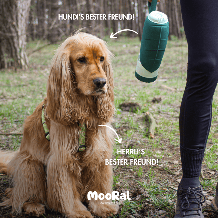 2 in 1 Hundeflasche, Uncategorized MOORAL