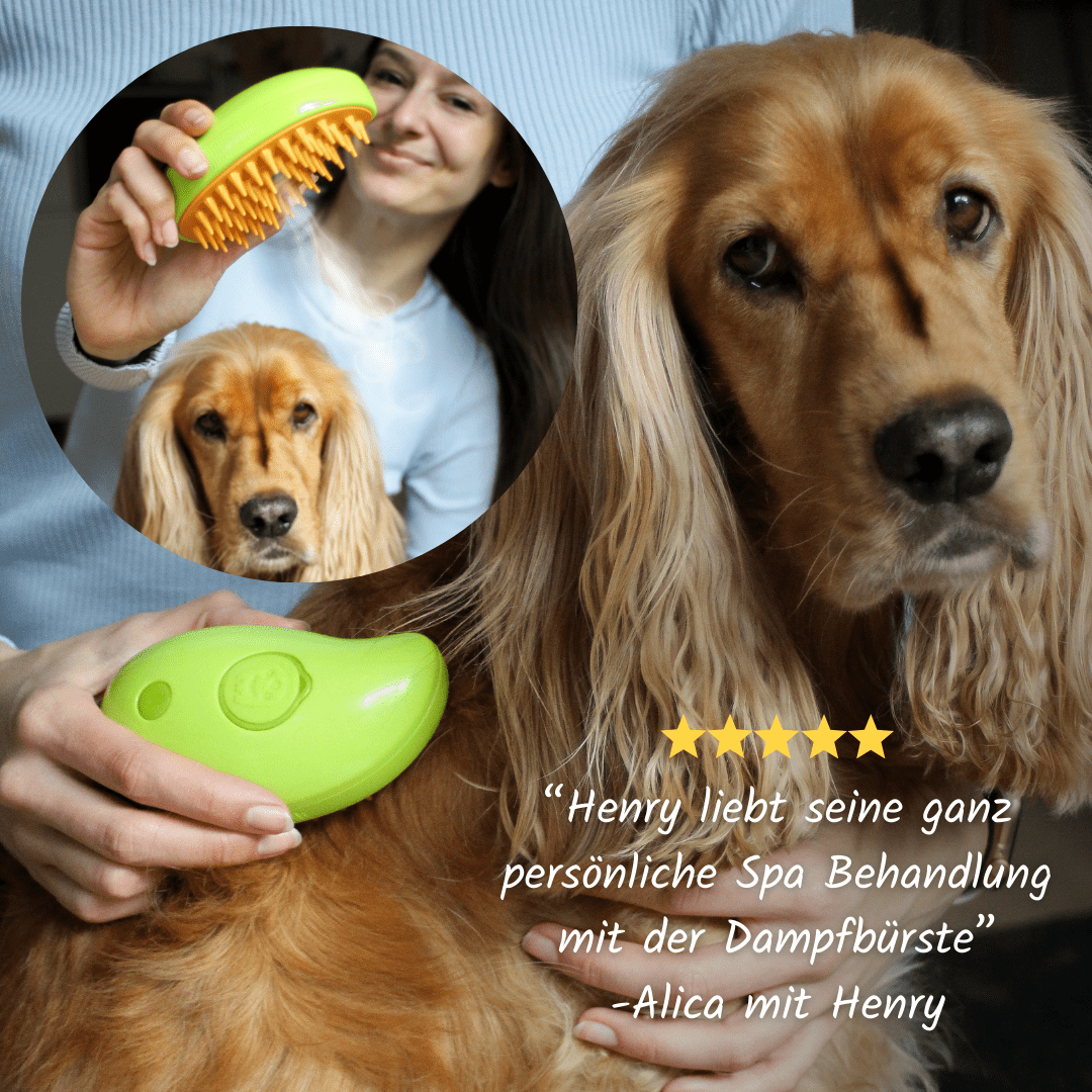 Pet Spa™ • 3 in 1 Dampfbürste, Cat Supplies MOORAL