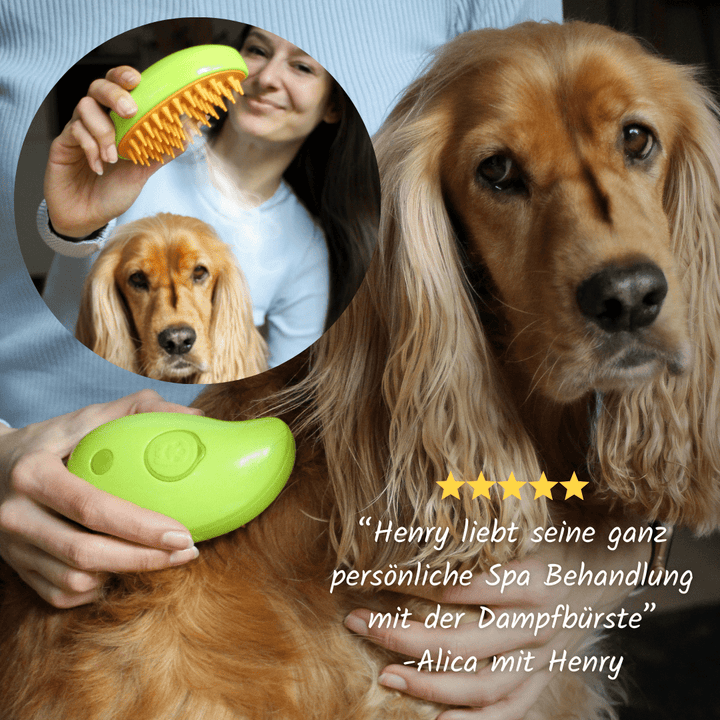 Pet Spa™ • 3 in 1 Dampfbürste, Cat Supplies MOORAL