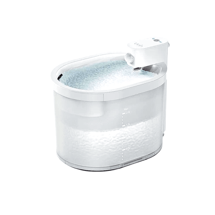 Kabelloser Katzenbrunnen, MOORAL