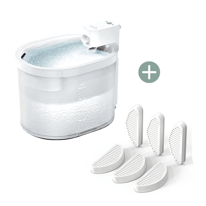 Kabelloser Katzenbrunnen, MOORAL