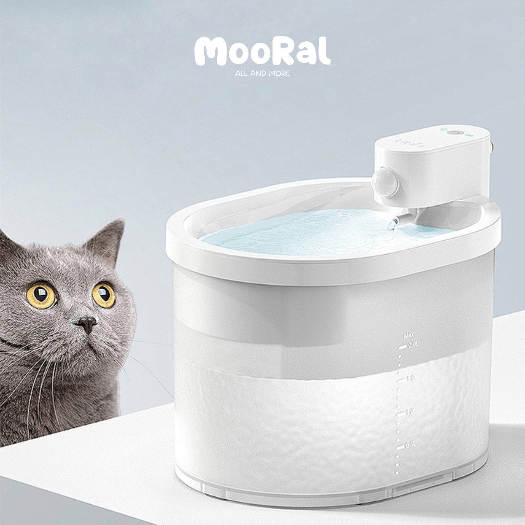 Kabelloser Katzenbrunnen, MOORAL