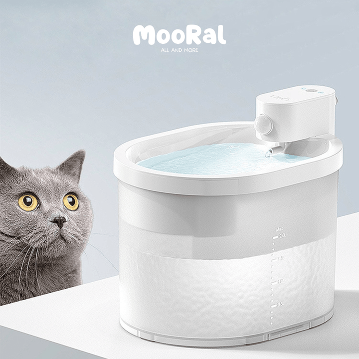 Kabelloser Katzenbrunnen, MOORAL