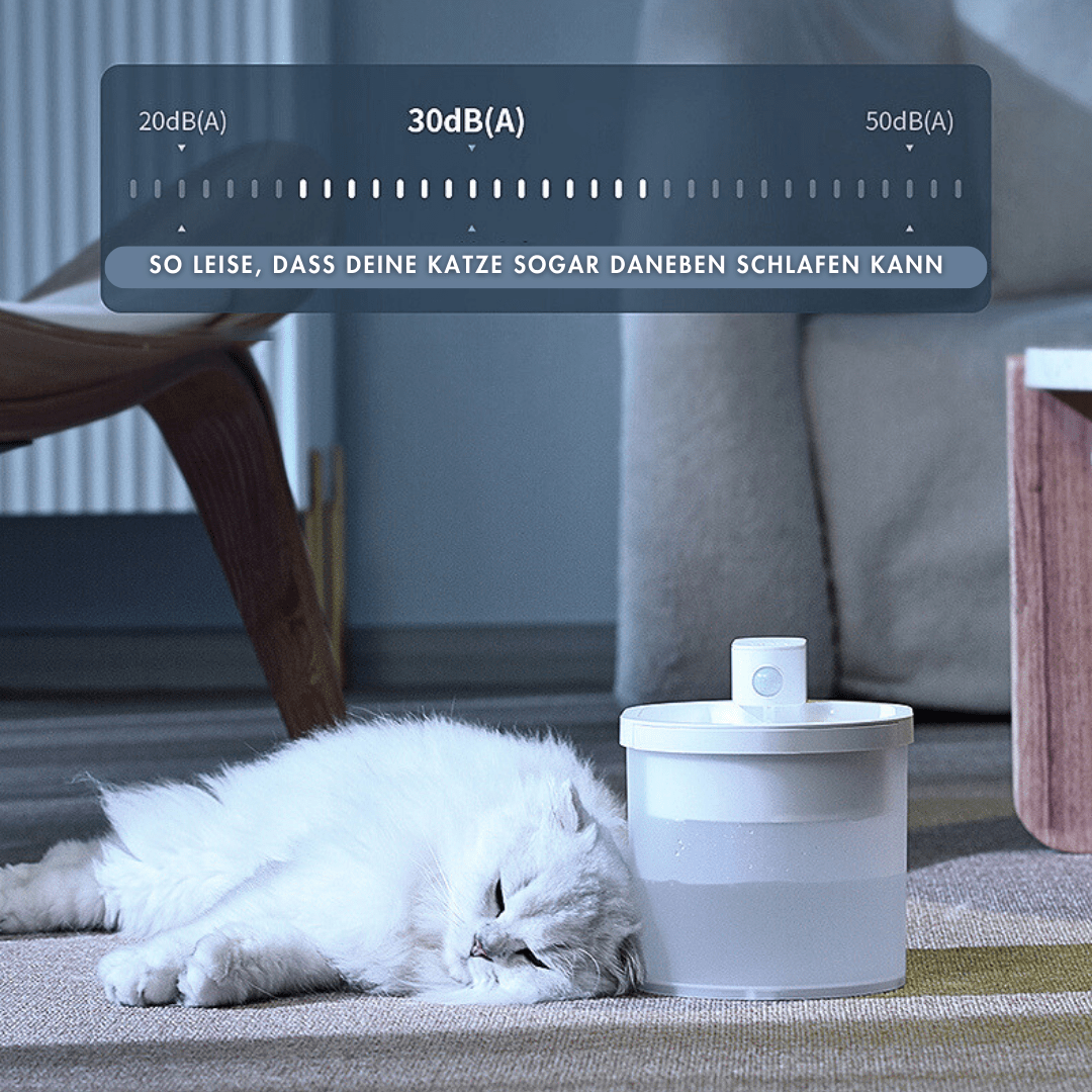 Kabelloser Katzenbrunnen, MOORAL