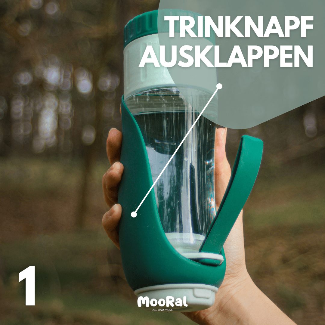 2 in 1 Hundeflasche, Uncategorized MOORAL