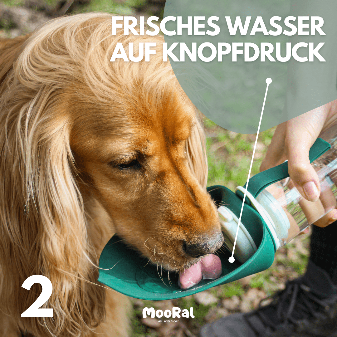 2 in 1 Hundeflasche, Uncategorized MOORAL