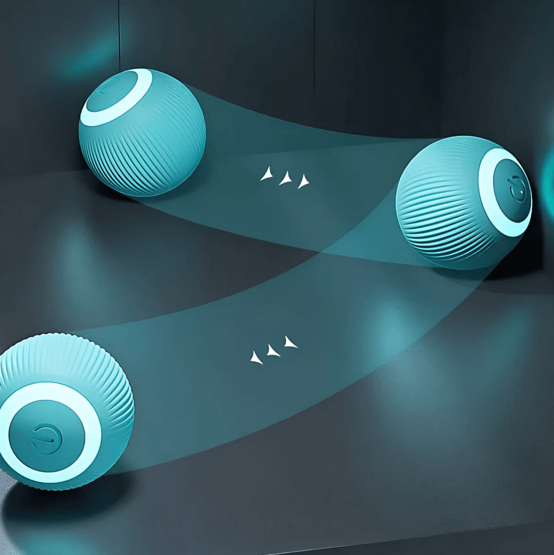 Catchee™ • Das ultimative Katzenspielzeug, Mooral