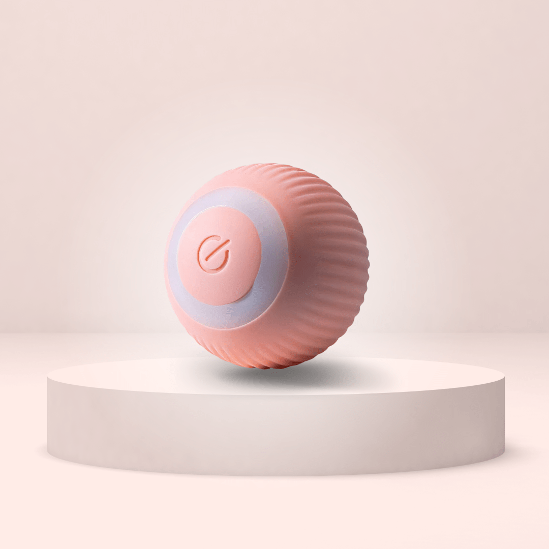 Catchee™ • Das ultimative Katzenspielzeug, Mooral