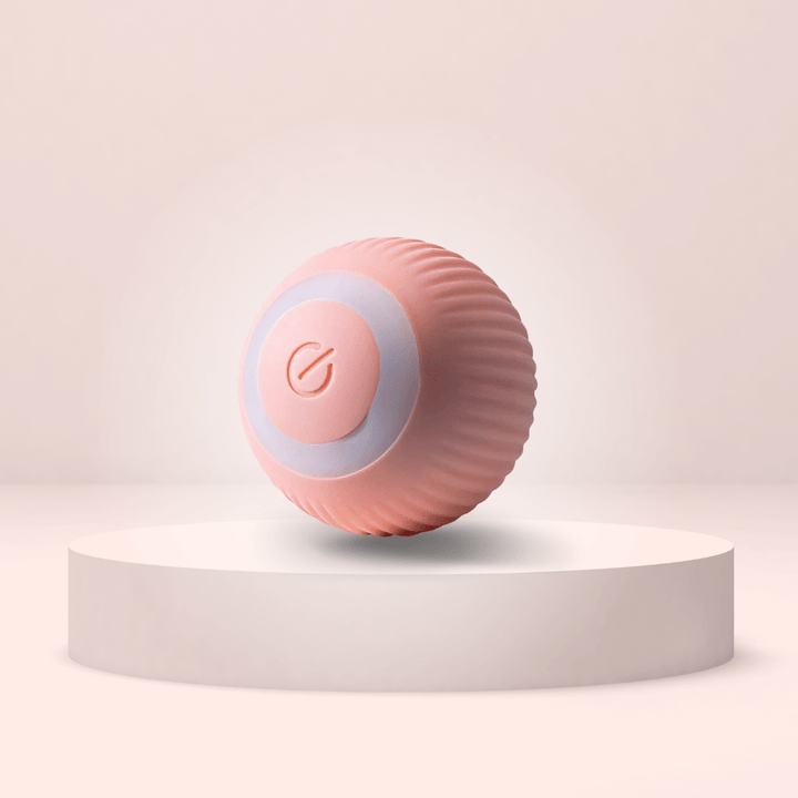 Catchee™ • Das ultimative Katzenspielzeug, Mooral