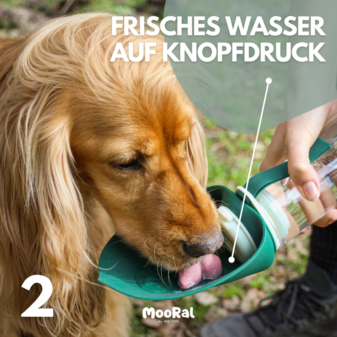 2 in 1 Hundeflasche