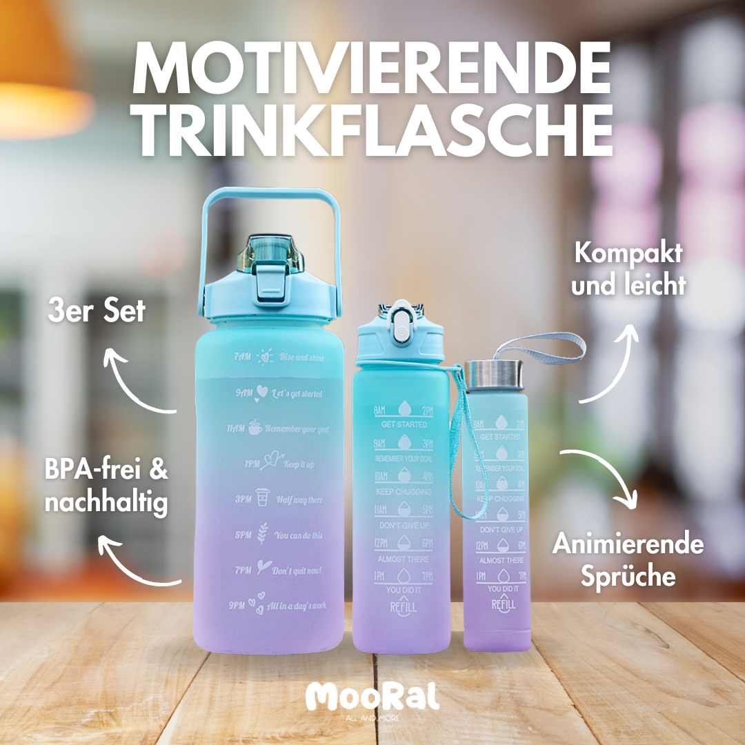 Motivierende Trinkflasche im 3er Set